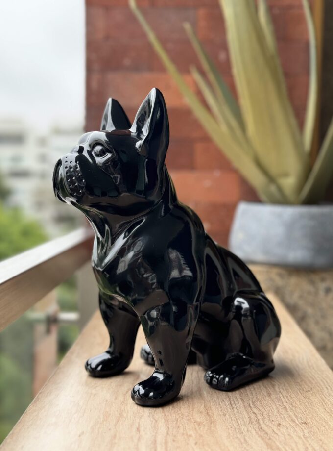 French Bulldog large black